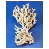 Natural Decorative White Branching Coral