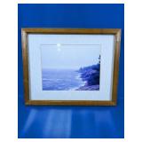 Coastal Pine Shoreline Framed Art