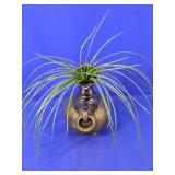 Ceramic Vase with Decorative Plant Arrangement