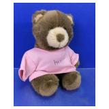 Plush Teddy Bear with Pink "Hugs" Shirt