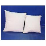 (2) Calvin Klein Furniture Throw Pillows