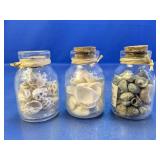 (3) Glass Seashell Display Jars