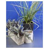 Decorative Artificial Plants in Mixed Planters Lot