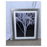 Framed Black & White Tree Branch Photo Print