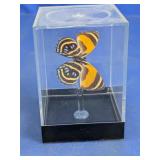 Mounted Butterfly Specimen Display in Acrylic Case