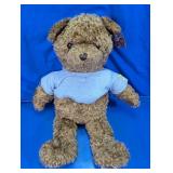 Wish Bear Plush Teddy Bear w/ Shirt
