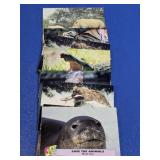 (5+) Pro Set Animal Trading Cards