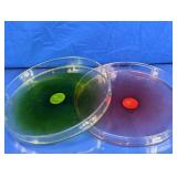 (2) Modern Round Acrylic Trays Duo