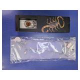 (2) Assorted Jewelry Set & Scorpion Specimen