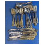 (20+) Stainless Flatware Set