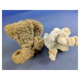 Natural Coral Specimens