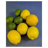 (9) Plaster Lemon & Lime Decor Set