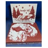 Christmas Santa Decorative Storage Box