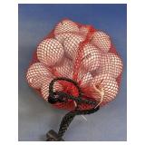 Practice Golf Balls in Mesh Carry Bag