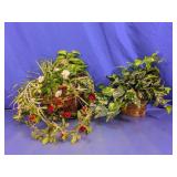 (2) Assorted Artificial Plant Arrangements