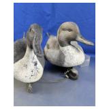 Duck Hunting Decoys