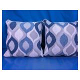 (2) Decorative Throw Pillows