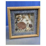 Framed Seashell Display Wall Decor Shadow Box