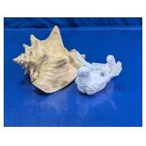 Seashell Decor Conch Coral Pieces Assorted