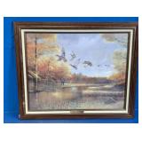 Framed Duck Flight Nature Art