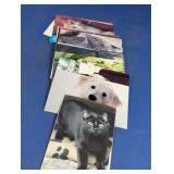 Vintage North Shore Animal League Postcards Lot