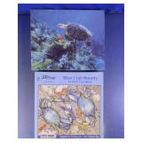 Heritage & Sea Turtle Puzzle Set