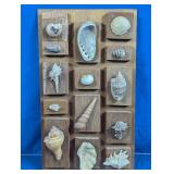 Seashell Wall Display Plaque