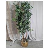 Large Artificial Ficus Tree in Woven Basket