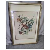 Framed Audubon Ruby-Throated Hummingbird Print