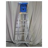 Werner 6 Ft Aluminum Step Ladder
