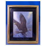 Framed Eagle Print Display