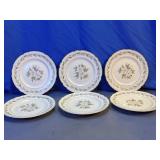 Royal Jackson Vogue Ceramic Fine China Plate Set