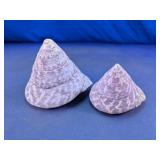 Purple Spiral Seashell Pair