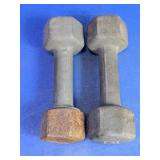 10 lb Hex Dumbbells Pair