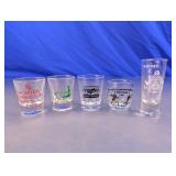 Novelty and Souvenir Shot Glasses