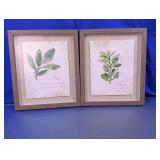Kirkland's Herb Botanical Wall Art Set