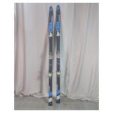 Dynamic Snow Skis
