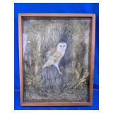 Signed Barn Owl Mixed Media Shadow Box Art