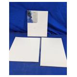 Fredrix & Winsor & Newton Artist Canvas Set