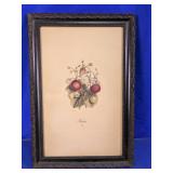 1867 G. Severeyns French Lithograph