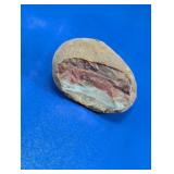 Raw Natural Banded Agate Rough Rock Specimen