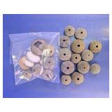 Natural Sea Urchin Shell Tests Collection Lot