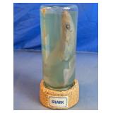 Vintage Preserved Shark Wet Specimen Jar Display
