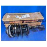 OESpectrum Quick-Strut Strut Assembly