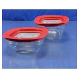 Rubbermaid Glass Food Containers