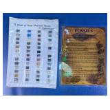52 Semi-Precious Stone Collection Display Set