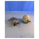 Decorative Turtle Figurines Assortment