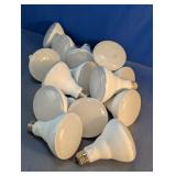 Bulk Assorted BR30 LED Flood Light Bulbs