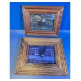 Framed Bald Eagle Wildlife Prints