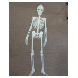 Posable Plastic Skeleton Halloween Hanging Decor